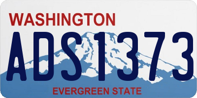 WA license plate ADS1373