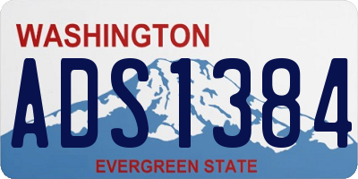 WA license plate ADS1384