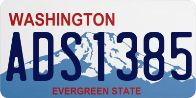 WA license plate ADS1385