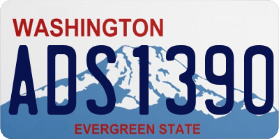 WA license plate ADS1390