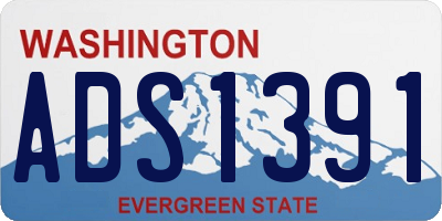 WA license plate ADS1391