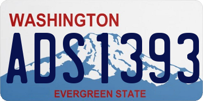 WA license plate ADS1393
