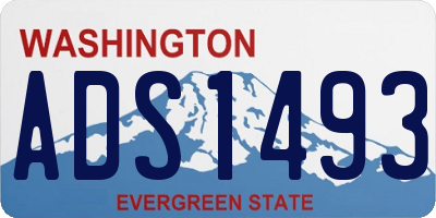 WA license plate ADS1493