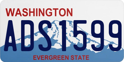 WA license plate ADS1599
