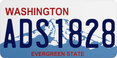 WA license plate ADS1828