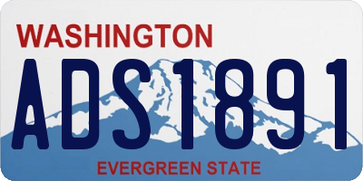 WA license plate ADS1891