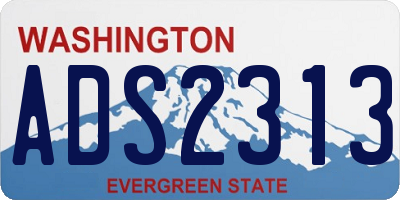 WA license plate ADS2313