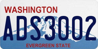 WA license plate ADS3002
