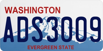 WA license plate ADS3009
