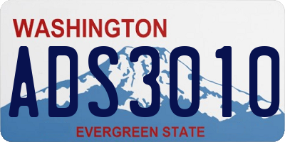 WA license plate ADS3010
