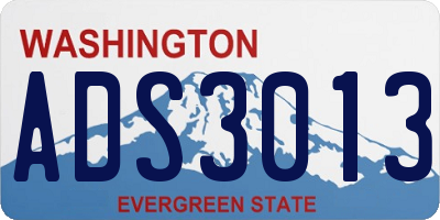 WA license plate ADS3013