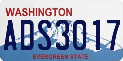 WA license plate ADS3017
