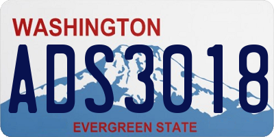 WA license plate ADS3018