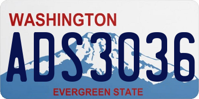 WA license plate ADS3036