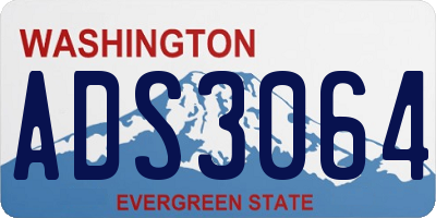 WA license plate ADS3064