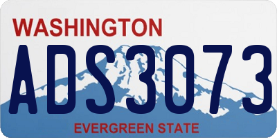 WA license plate ADS3073