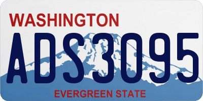 WA license plate ADS3095