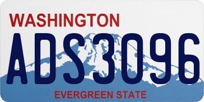WA license plate ADS3096