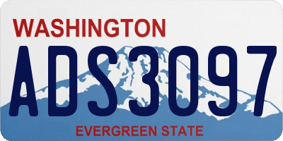 WA license plate ADS3097