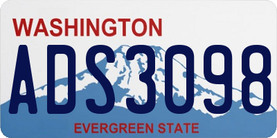 WA license plate ADS3098