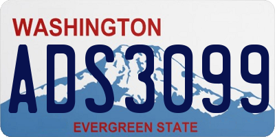 WA license plate ADS3099