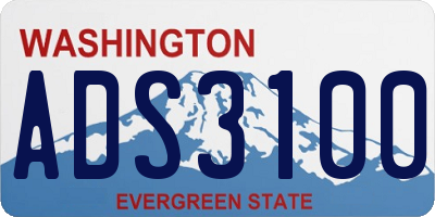 WA license plate ADS3100
