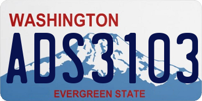 WA license plate ADS3103