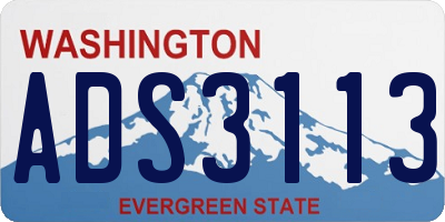 WA license plate ADS3113