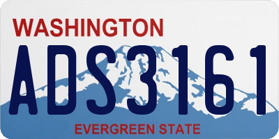 WA license plate ADS3161