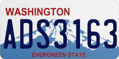 WA license plate ADS3163