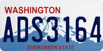 WA license plate ADS3164