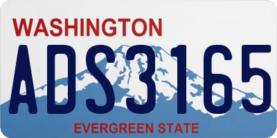 WA license plate ADS3165