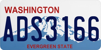 WA license plate ADS3166