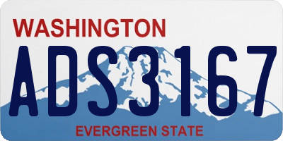 WA license plate ADS3167