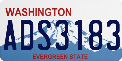 WA license plate ADS3183