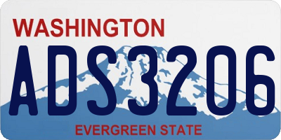 WA license plate ADS3206