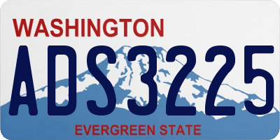 WA license plate ADS3225