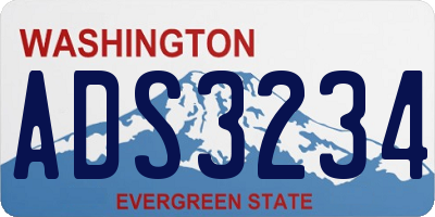 WA license plate ADS3234
