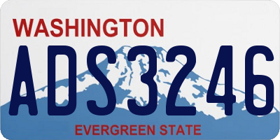 WA license plate ADS3246