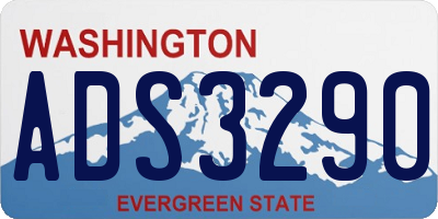 WA license plate ADS3290