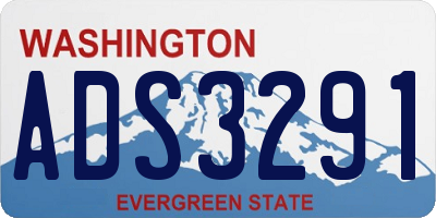 WA license plate ADS3291