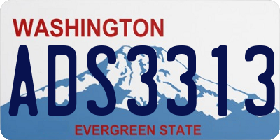 WA license plate ADS3313