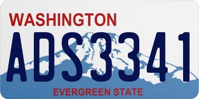 WA license plate ADS3341