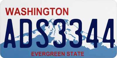 WA license plate ADS3344