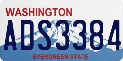 WA license plate ADS3384