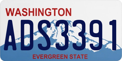 WA license plate ADS3391