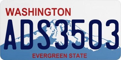 WA license plate ADS3503