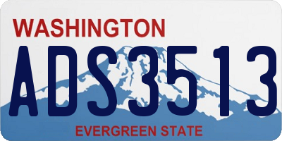 WA license plate ADS3513