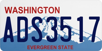WA license plate ADS3517