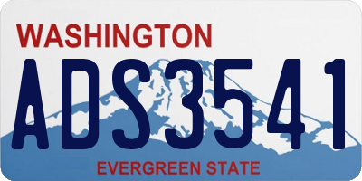 WA license plate ADS3541